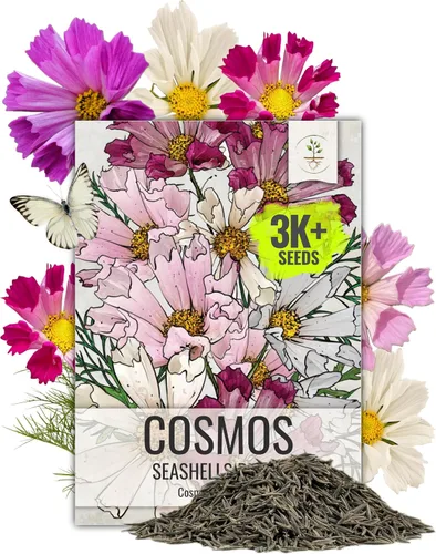 Vista 16 de Seed Needs - Semillas de flores para plantar Black Eyed Susan, paquete a granel de 1.5 onzas