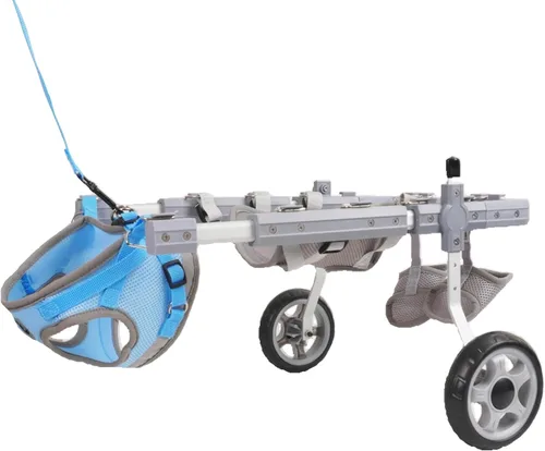 Vista 9 de Silla de ruedas para perros para patas traseras (M), nueva silla de ruedas ajustable para perro, ayuda a mascotas pequeñas con extremidades traseras