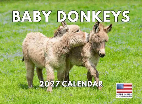 Vista 82 de Calendario mensual de pared de alpaca 2025 Fabricado en Estados Unidos