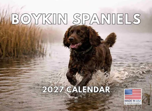 Vista 11 de Calendario mensual de pared Airedale Terrier Dog 2027