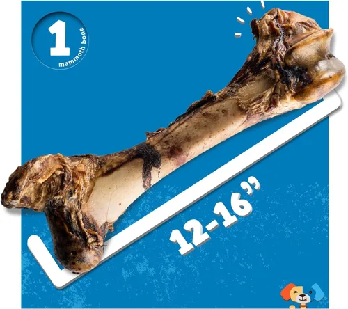 Vista 6 de Jack&Pup Mammoth - Huesos grandes para perros grandes, huesos de carne de fémur de 15 pulgadas para masticadores agresivos, hueso de perro gigante