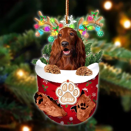 Vista 27 de NAZENTI Adorno Navideño de Bolsillo Personalizado de Affenpinscher en la Nieve, Adorno de Forma Acrílica de Perro, Adorno de Navidad 2023, Adorno