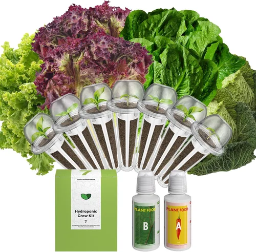 Vista 10 de inbloom Kit de vainas de semillas verdes para ensalada orgánica para AeroGarden, sistema de cultivo hidropónico Ahopegarden, alimento bajo