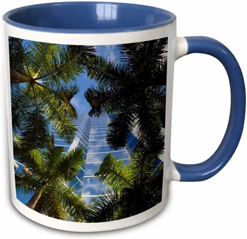 Vista 10 de 3dRose Estados Unidos, Florida, Miami, Brickell Avenue, edificios de gran altura. Taza negra de dos tonos de 11 oz