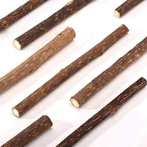 Vista 7 de 20 unidades de palitos de plata natural para Masticar Matatabi Varillas de dientes Molar Masticar Juguetes para la Limpieza de Dientes de Gato