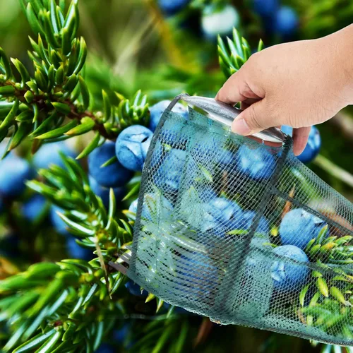 Vista 8 de DOITOOL Herramienta para recoger arándanos, recogedor de frutas, jaula de recolección de frutas, cesta de cosecha de frutas, equipo de frutas