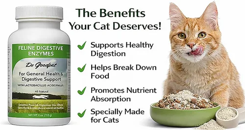 Vista 3 de Dr. Goodpet Enzimas digestivas felinas con probióticos y prebióticos - Polvo de apoyo digestivo diario para gatos - Promueve la digestión del gato