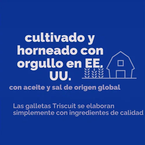 Vista 11 de Triscuit Galletas de Trigo Integral Finas y Crujientes Originales, Snacks Veganos, Galletas para Snacks al Por Mayor, Paquete de 6 Cajas de 7.1