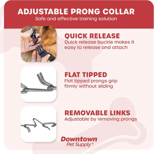 Vista 3 de Downtown Pet Supply Collar de punta cromado/nailon para perros, pequeño, ajustable, sin estrangulamiento y sin tirones, con eslabones extraíbles