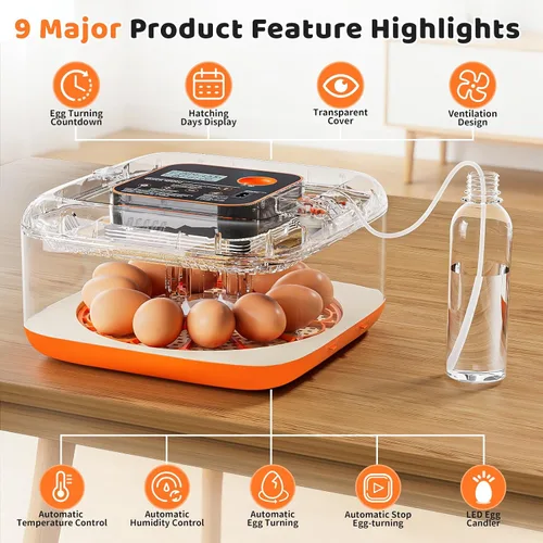Vista 2 de Incubadoras para incubar huevos Incubadora automática de huevos con control de temperatura y pantalla de humedad, capacidad de 12 huevos para pollo