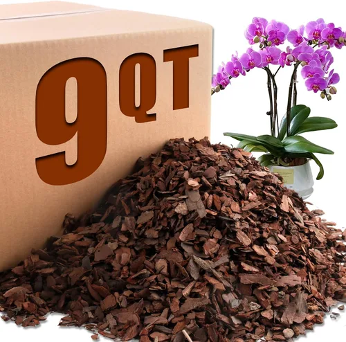 Vista 11 de AVALUTION Corteza para macetas de orquídeas: corteza de orquídea orgánica de 3 cuartos para plantas, todos los chips de madera de corteza de pino
