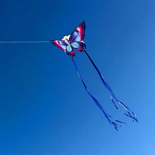 Vista 4 de Cometas de mariposa para niños y adultos, fácil de volar, cometa grande de una sola línea para niños y niñas, cometa de playa de 55 x 28 pulgadas