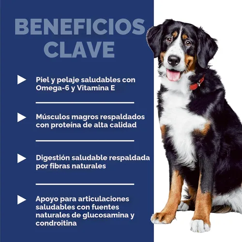 Vista 4 de Hill's Science Diet - Alimento seco para perros adultos de raza grande 1-5, proteína de calidad para el apoyo de las articulaciones y músculos