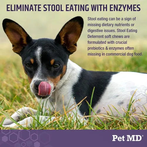 Vista 3 de Pet MD Taburete Disuasorio para Perros - Deja de comer caca para perros - 60 unidades Coprophagia Dog Deterrent with Enzymes, Herbs, & Prebiotics