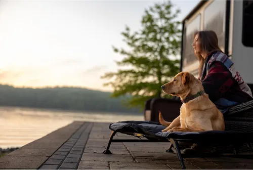 Vista 4 de Momarsh Cuna elevada para perros con almohadilla suave lavable y marco plegable para viajes y uso doméstico Cuna todo en uno con pies