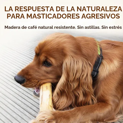 Vista 4 de Wildfang® Coffee Wood Masticable para Perros, Mediano - Juguetes Masticables Resistentes para Masticadores Agresivos, Juguetes de Dentición