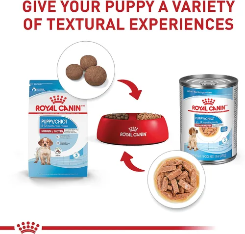 Vista 4 de Alimento seco Royal Canin para cachorros, medianos