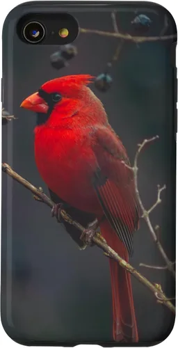Vista 18 de Funda para iPhone 16 Cardinal Bird