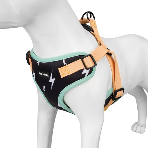 Vista 9 de Jack & Bully Arnés para perro, chaleco sin tirones, de neopreno ajustable, suave con malla transpirable, para todo tipo de clima, bulldog francés