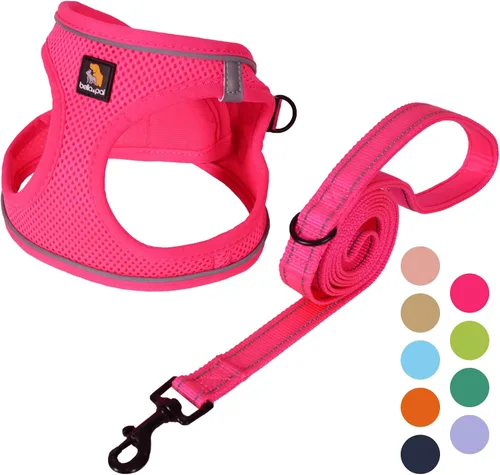 Vista 16 de BELLA & PAL Arnés de chaleco con entrada por pasos para perros pequeños y medianos, arnés para perros pequeños sin tirones con juego de correa