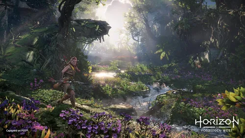 Vista 6 de Horizon Forbidden West (PS5)