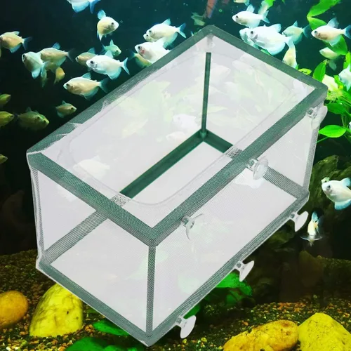 Vista 4 de Xiaoyztan Caja de criadores para pecera, caja de criador de acuario, marco de plástico, separación de pecera para bebés, acuario, cría, incubadora