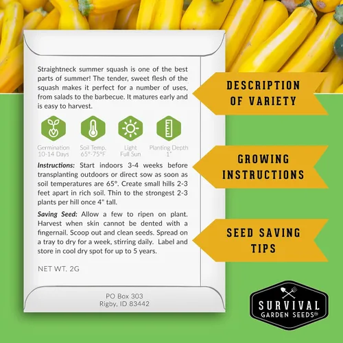 Vista 2 de Survival Garden Seeds - Semilla de calabaza de verano de cuello recto para plantar - Paquete con instrucciones para plantar y cultivar calabaza