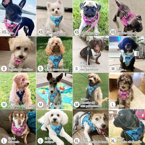 Vista 6 de haapaw - Arnés para perro con correa, arnés reflectante, ajustable y sin tirones para cachorros con chaleco acolchado grueso para perros