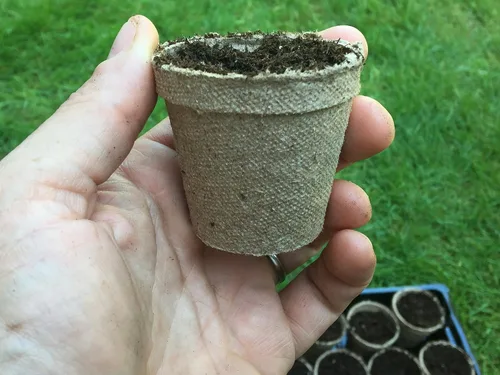 Vista 7 de Jiffy -Macetas de turba biodegradables de 2 pulgadas con semillas orgánicas, paquete de 26