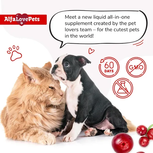Vista 7 de Multivitamínico líquido para perros – Multivitaminas para gatos de interior – 10 en 1 vitaminas líquidas para perros complejo B, C, D3 – Digestión