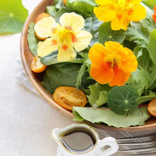 Vista 4 de Eden Brothers Semillas de Nasturtium - Semillas de Alaska Gold sin transgénicos para plantar, 1 onza Semillas de flores de bajo mantenimiento