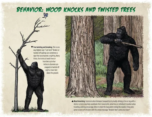 Vista 4 de Calendario Bigfoot 2024 – Calendario de pared de 12 meses – 11 x 19 pulgadas abierto – Ideal para la oficina o cabina – Regalo divertido
