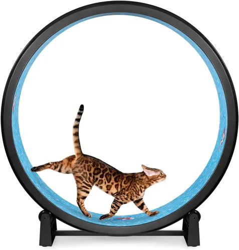 Vista 14 de One Fast Cat - Rueda de ejercicio para gatos, fabricada en los Estados Unidos, 48 pulgadas de diámetro, Gen. 7