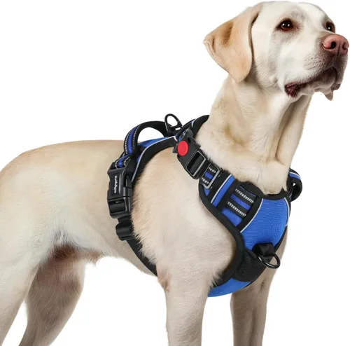 Vista 14 de Rabbitgoo - Arnés para perro de tamaño pequeño, actualizado, fácil de poner y quitar con 3 hebillas Sin tirones, sin estrangulamiento, caminar