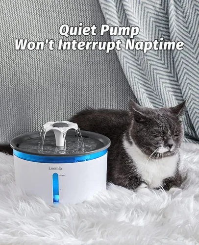 Vista 4 de Loomla Fuente de agua para gatos, fuente de agua para mascotas de 85 onzas / 2.5 litros en interiores, dispensador automático de agua para perros