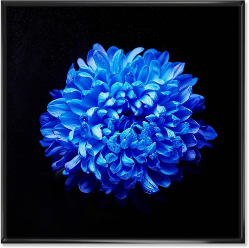Vista 46 de DesignQ Lienzo enmarcado tradicional con flores silvestres azules con hojas verdes II