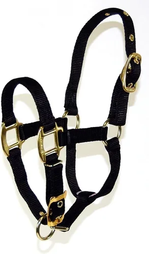 Vista 14 de Hamilton Deluxe - Caballo ajustable, 100-200 libras, color negro Premium Quality 3/4" Triple Ply Nylon, Foal/Mini Horse, Adjustable Chin Strap