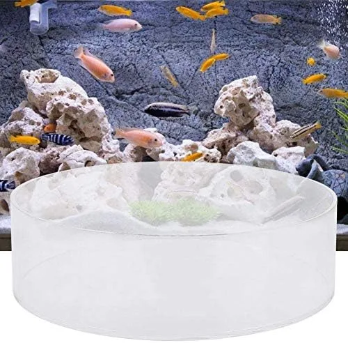 Vista 4 de Zerodis Observe lentes, lupa acrílica de visualización de agua para acuario, fotografía de peces de acuario, lupa cilíndrica para acuario marino