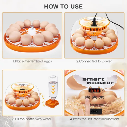 Vista 13 de Incubadora de 12 huevos con giro automático de huevos y control de temperatura, adición automática de agua, vela LED de huevos, incubadoras