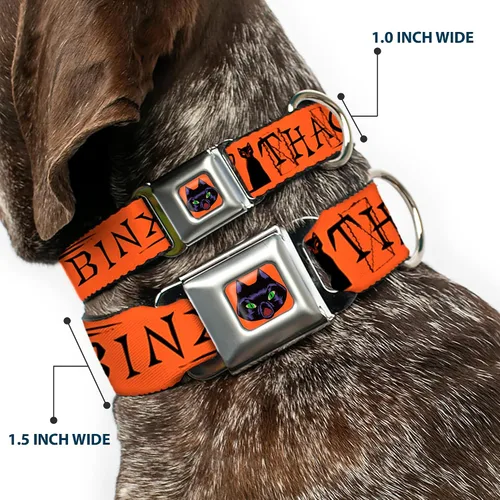 Vista 2 de Buckle-Down Collar de perro Hebilla de cinturón de seguridad Hocus Pocus Thackery Binx Cat Silhouette Naranja Negro, 1 pulgada de ancho - Se adapta