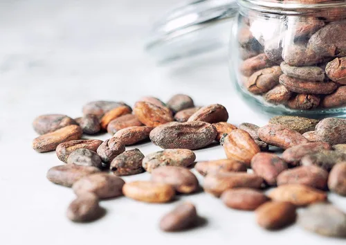Vista 5 de Food to Live Granos de cacao orgánicos, 1 libra, sin OMG, keto, vegano, seco, a granel, rico en fibra dietética, cobre, manganeso, magnesio, zinc