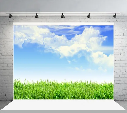 Vista 8 de Leyiyi Fondo de fotografía de pastizales de primavera de 4 x 4 pies, planta de jardinería, prado, cielo, nube, punto de luz, pradera del norte