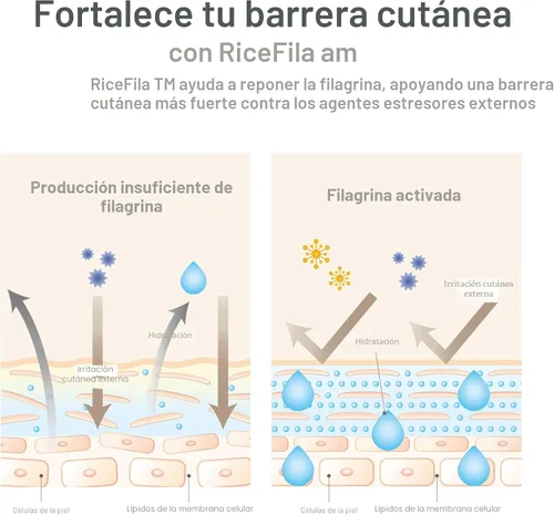 Vista 7 de HAYEJIN RiceFila - Tónico de leche para piel de vidrio, tóner facial hidratante de arroz coreano 2 en 1 con niacinamida, 8 ácidos hialurónicos y 6