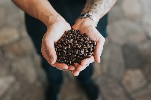 Vista 5 de Café costarricense tostado oscuro en grano entero (8.8 onzas) – Granos arábica 100% frescos, cultivados a la sombra y de origen local – Recuerdos