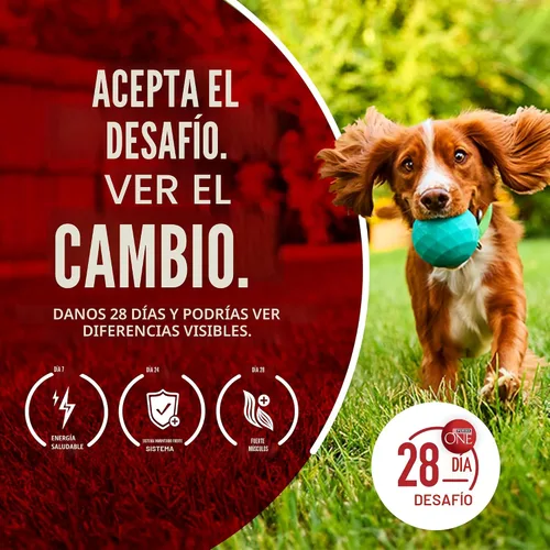 Vista 10 de Purina ONE SmartBlend - Alimento seco natural para perros adultos