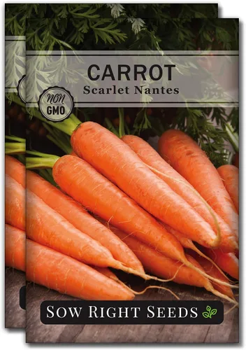 Vista 6 de Sow Right Seeds - Semilla de zanahoria Scarlet Nantes para plantar - Paquete de reliquia sin OMG con instrucciones para plantar un huerto casero