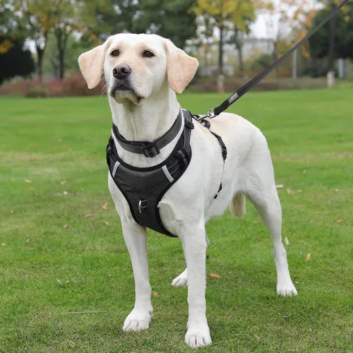 Vista 3 de Arnés para perro sin tirones con 2 anillos en D, ajustable, reflectante, suave, acolchado, chaleco Oxford y asa para perros pequeños, negro, S
