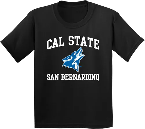 Vista 636 de NCAA Arch Logo, camiseta juvenil color del equipo, universidad - universidad