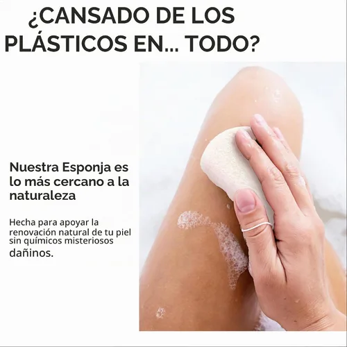 Vista 6 de Cuerpo de esponja Konjac (paquete de 2) Fibra vegana suave a base de plantas sin microplásticos Sostenible 100% natural + no tóxica