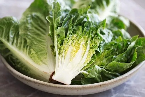 Vista 4 de Little Gem Butterhead - Semillas de lechuga (Lactuca sativa) – Más de 1,000 semillas de reliquia sin OMG de Isla's Garden Seeds, cabezas compactas